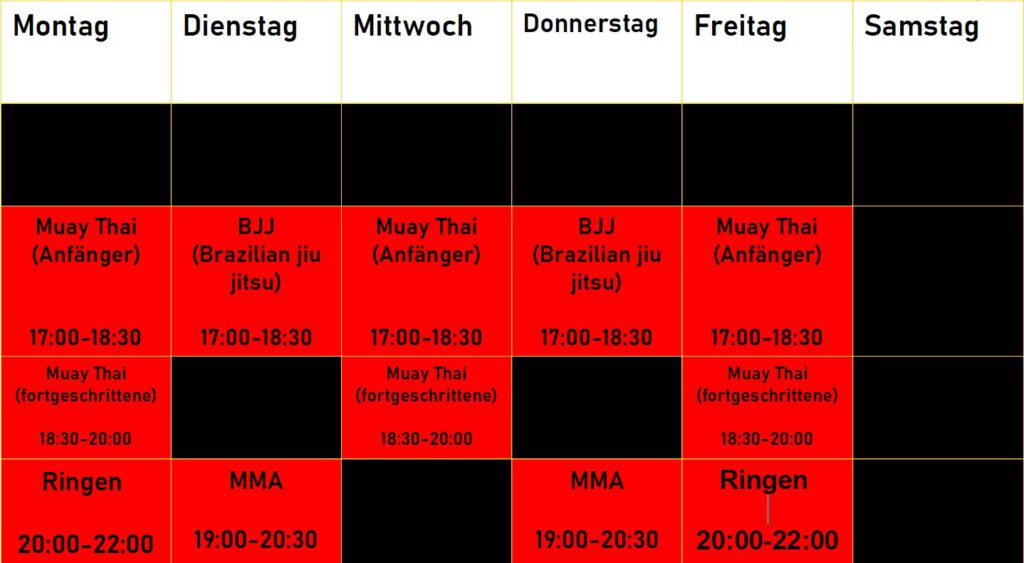 MMA Köln, Ringen köln, beste mma schule, Thaiboxen,boxen, k1